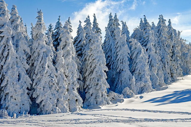 Avoid Cold Emergencies