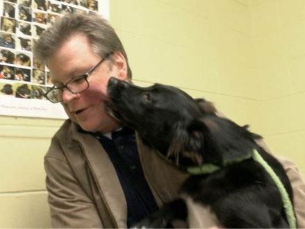 Millenials are adopting more rescue pets