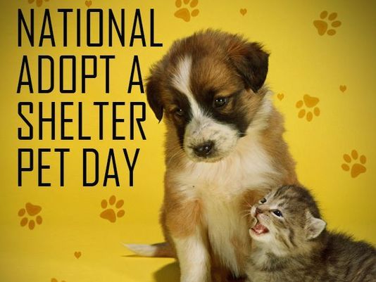 OCEAN COUNTY ANIMAL FACILITIES CELEBRATE  NATIONAL ADOPT A SHELTER PET DAY APRIL 30, 2023