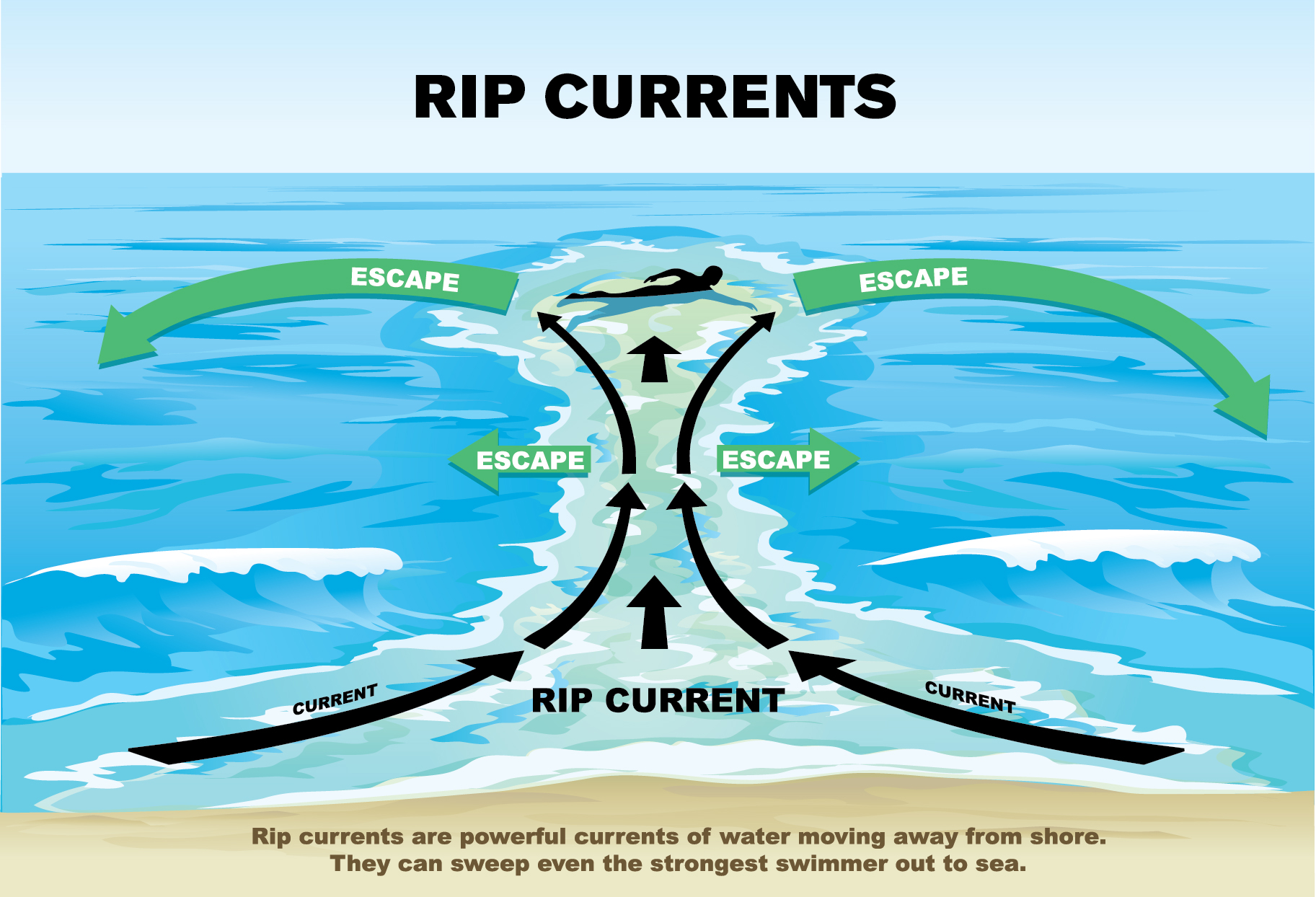 BEACH BATHERS BEWARE!