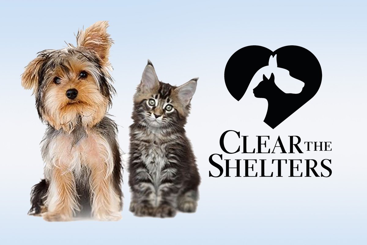 Clear the Shelters