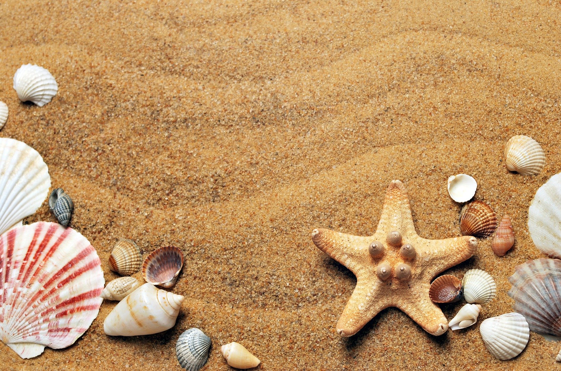 SPEND A HEALTHY DAY AT THE BEACH AS A BREAK FROM COVID-19 – JUST REMEMBER TO PROTECT YOURSELF & OTHERS!