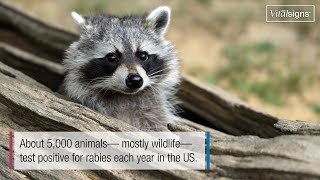 OCHD REPORTS TWO RACCOONS TEST POSITIVE FOR RABIES