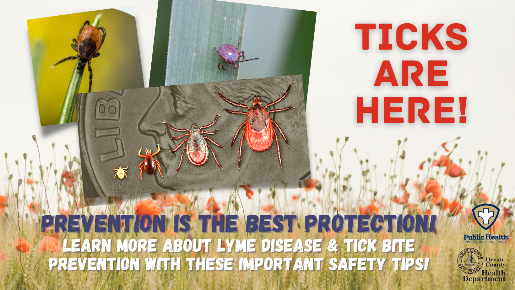 NATIONAL LYME DISEASE AWARENESS MONTH REMINDS US ABOUT THE IMPORTANCE OF TICK BITE PREVENTION