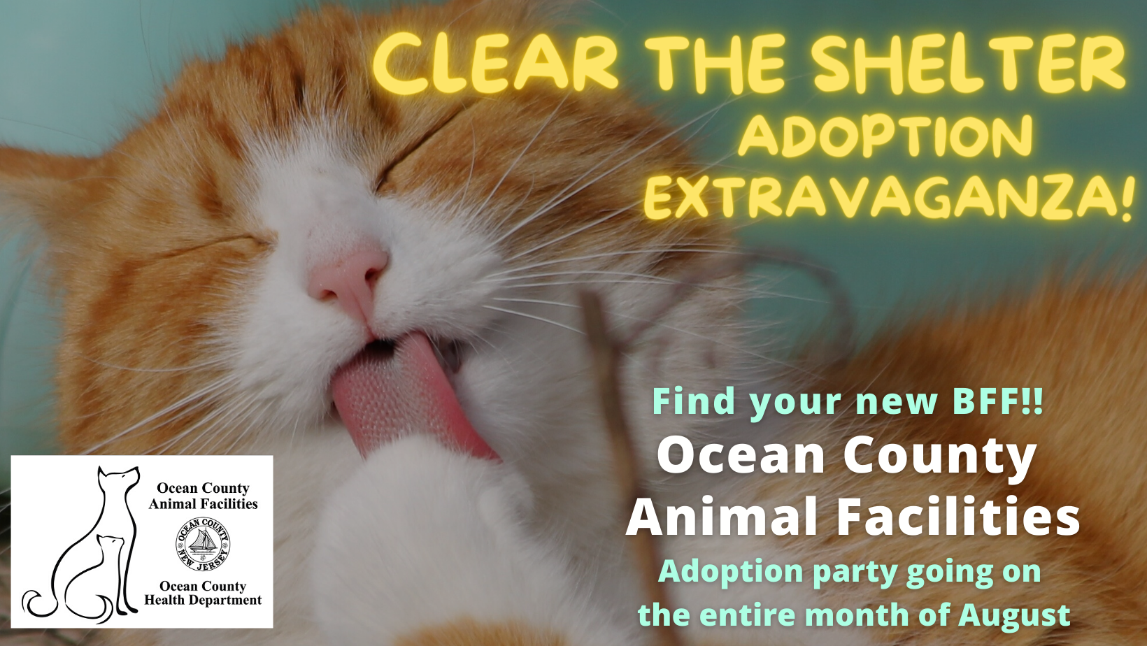 SHELTER PET ADOPTION EVENT OF THE YEAR RETURNS TO OCEAN COUNTY ANIMAL FACILITIES FOR ENTIRE MONTH OF AUGUST!
