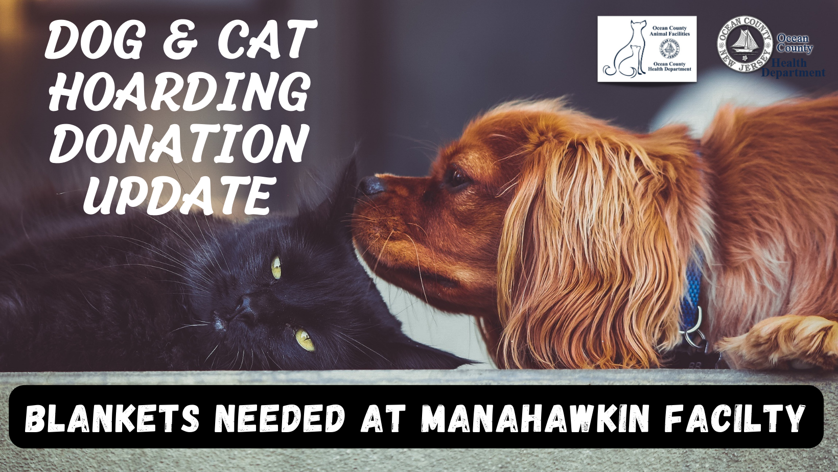 OCEAN COUNTY ANIMAL FACILITIES CAT & DOG HOARDING CASE DONATION UPDATE.