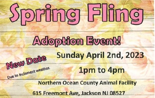 DUE TO THE THREAT OF RAIN ON SATURDAY, THE SPRING FLING HAS BEEN MOVED TO SUNDAY, APRIL 2 FROM 1PM-4PM.