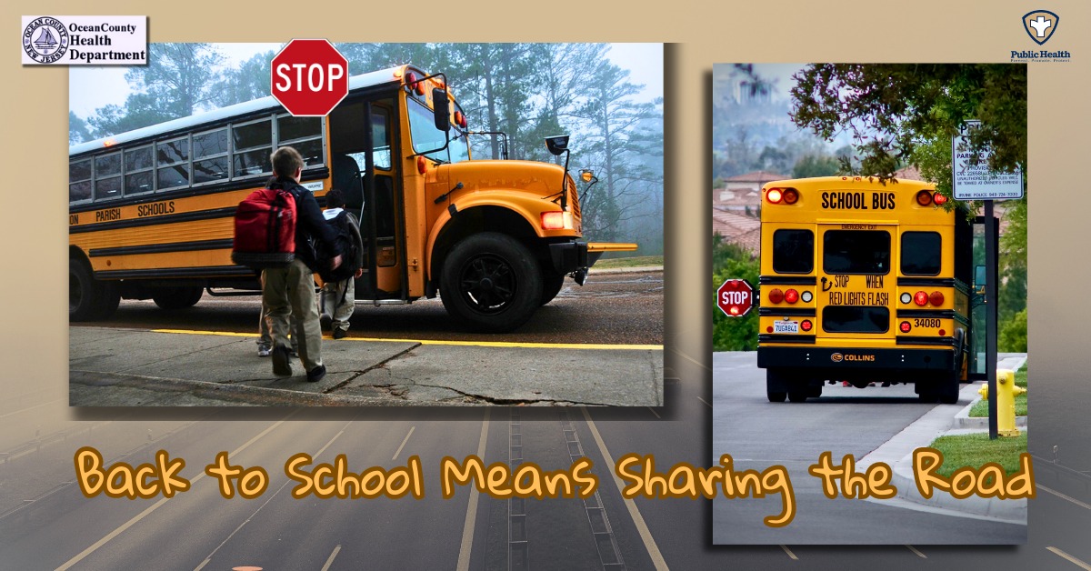 SLOW DOWN: BACK TO SCHOOL MEANS SHARING THE ROAD!