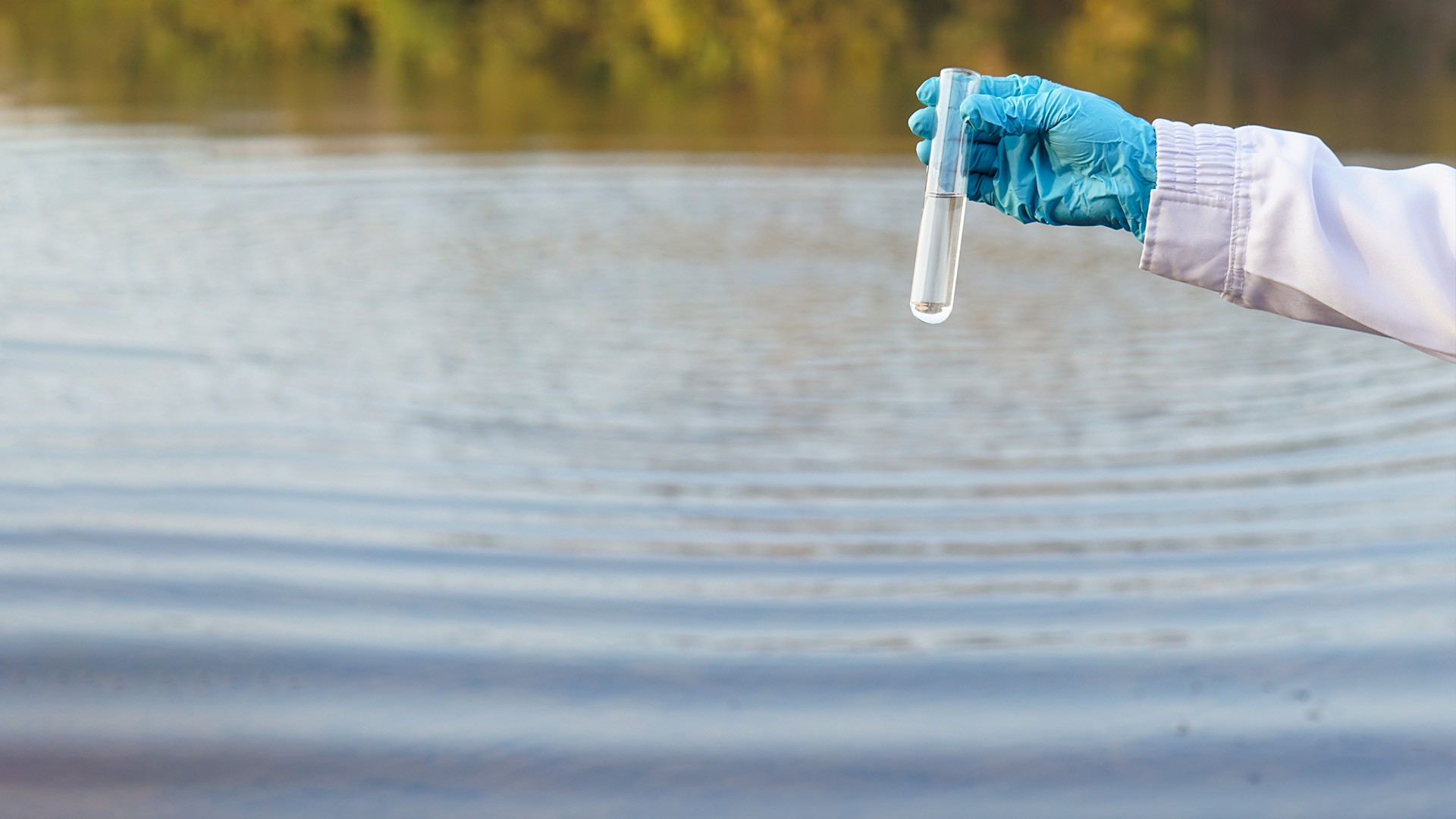 Water Reports 2024